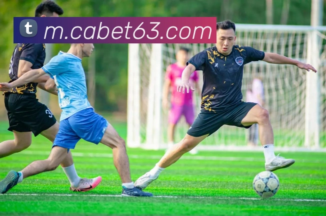 ca亚洲城全站App